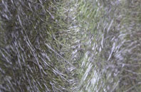 Fewston Bents fibreglass roof work